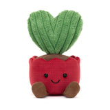 Jellycat - Plush - *new* Amuseable Kerrii Cactus